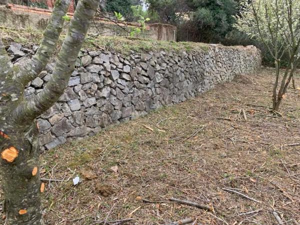 Terreno en Sant Joan Baptista, 10