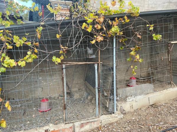 Terreno en Els Hostalets de Pierola