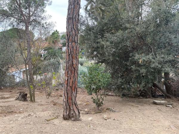 Terreno en Els Hostalets de Pierola