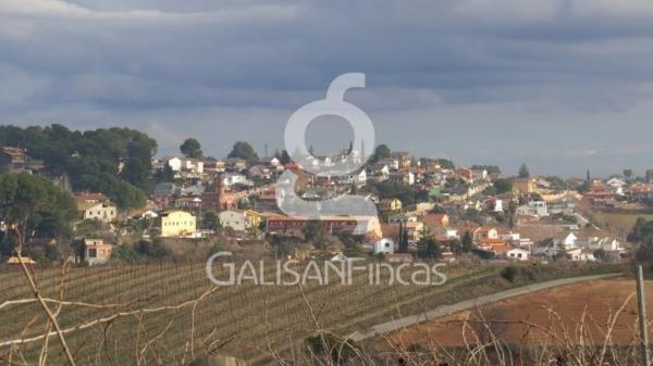 Terreno en calle Cirerer