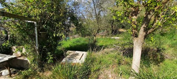 Terreno en avenida de la Carretera d'Igualada s/n