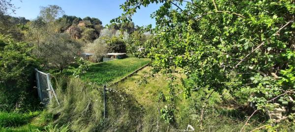 Terreno en avenida de la Carretera d'Igualada s/n