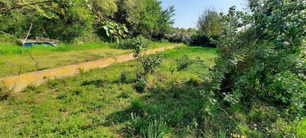 Terreno en avenida de la Carretera d'Igualada s/n