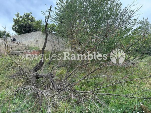 Terreno en Castelloli