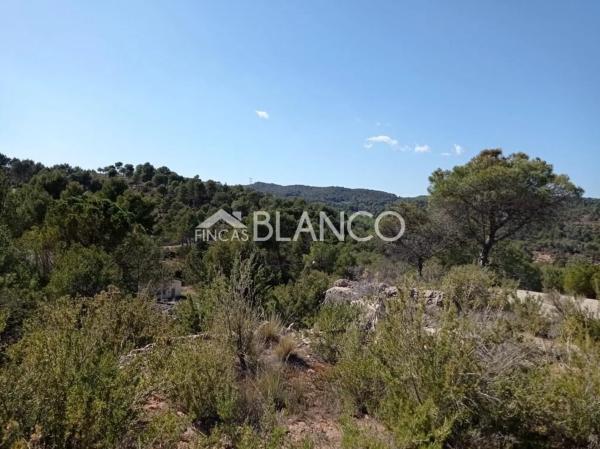 Terreno en La Pobla de Claramunt
