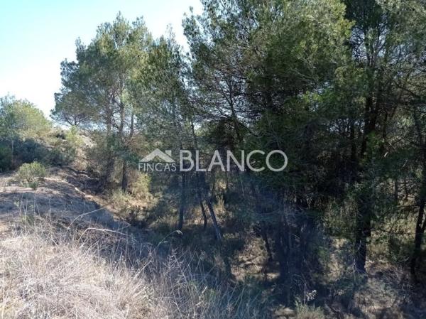 Terreno en La Pobla de Claramunt