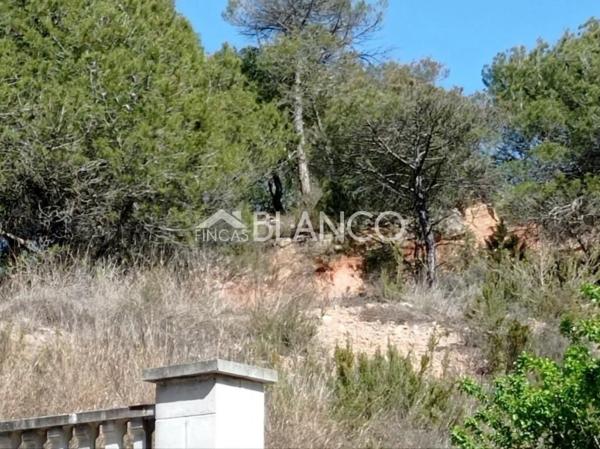 Terreno en La Pobla de Claramunt