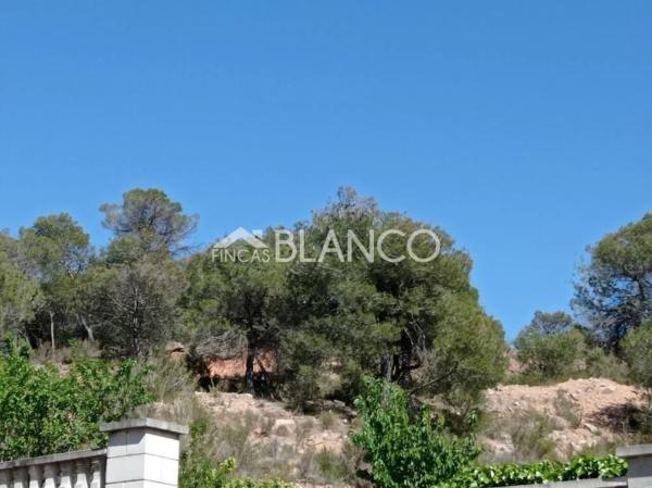 Terreno en La Pobla de Claramunt