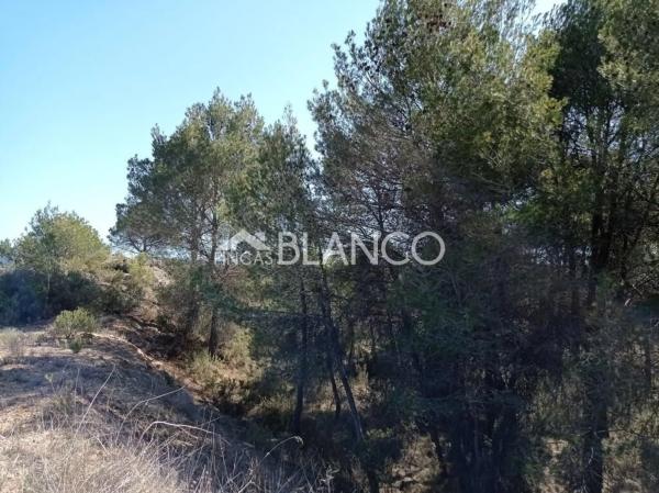 Terreno en La Pobla de Claramunt