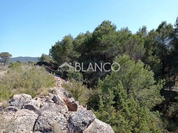 Terreno en La Pobla de Claramunt