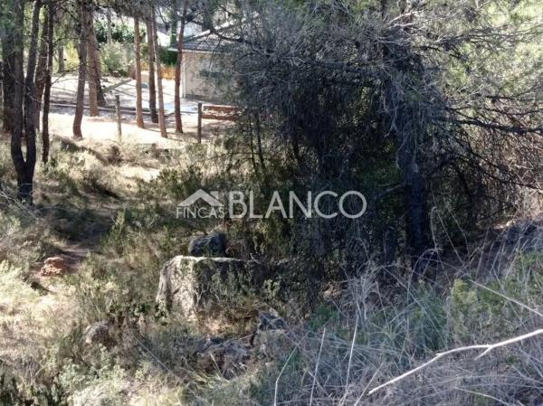 Terreno en La Pobla de Claramunt