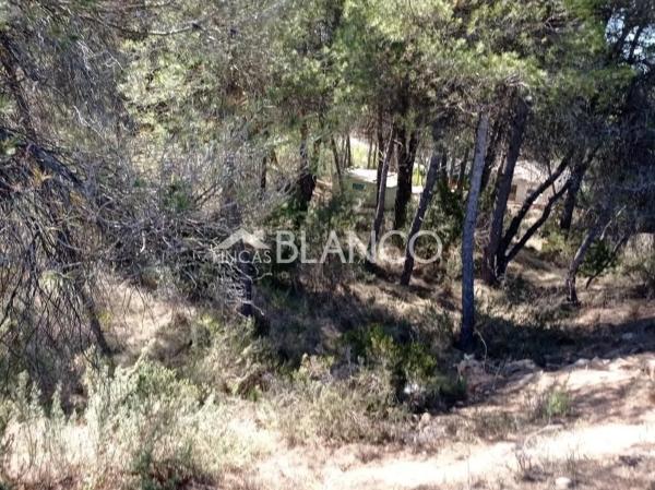 Terreno en La Pobla de Claramunt