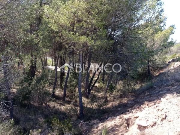 Terreno en La Pobla de Claramunt