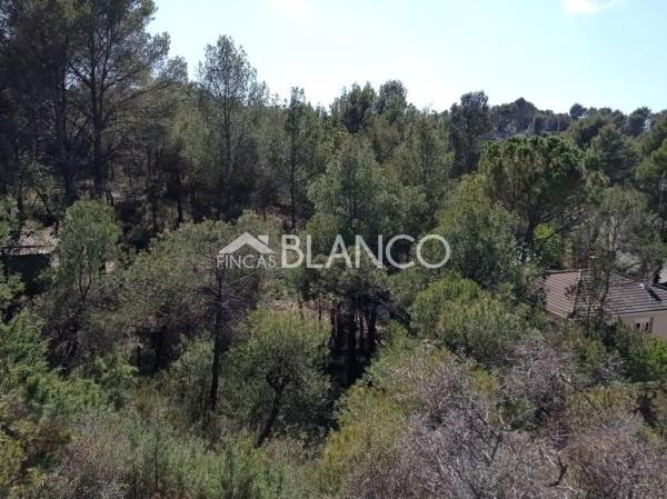 Terreno en La Pobla de Claramunt