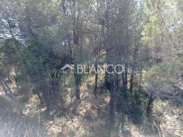 Terreno en La Pobla de Claramunt