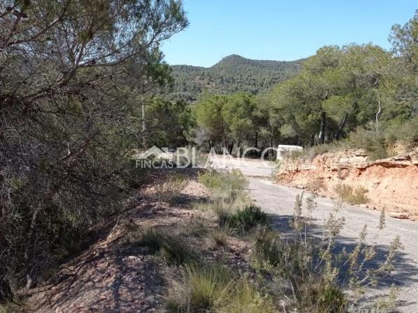 Terreno en La Pobla de Claramunt