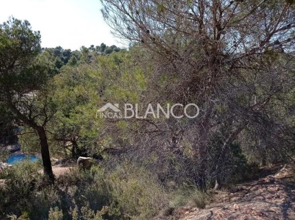 Terreno en La Pobla de Claramunt