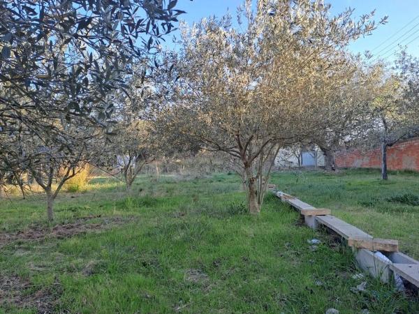 Terreno en La Pobla de Claramunt