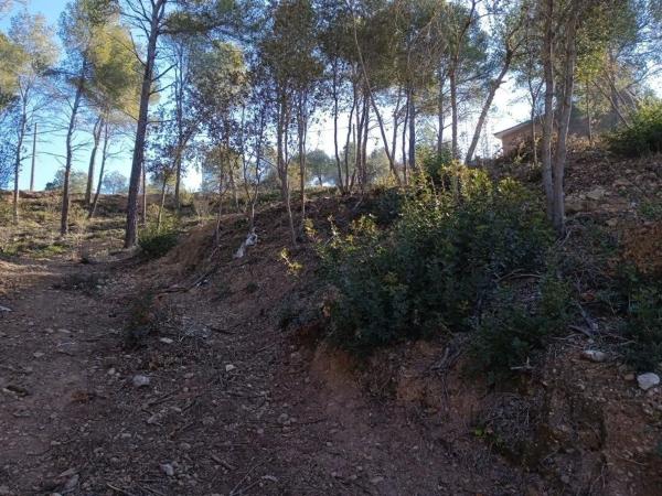 Terreno en Cabrera d'Anoia