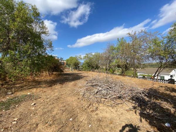 Terreno en calle del Tordera, 21