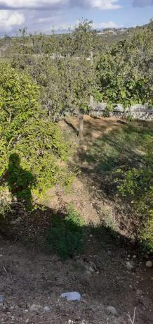 Terreno en calle del Tordera, 21