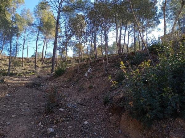 Terreno en Cabrera d'Anoia