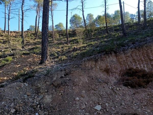 Terreno en Cabrera d'Anoia