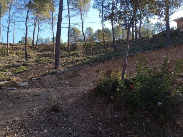 Terreno en Cabrera d'Anoia
