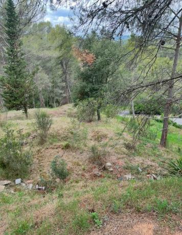 Terreno en calle pau claris s/n