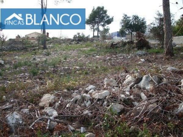 Terreno en La Torre de Claramunt