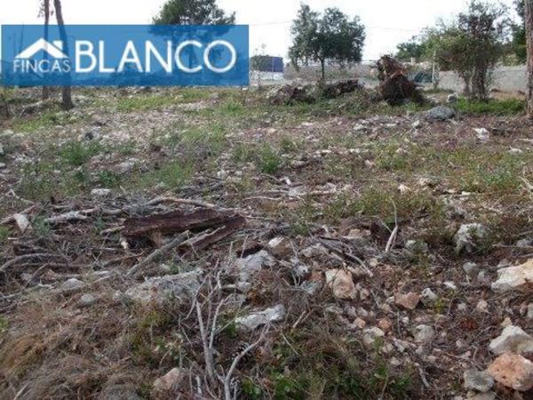 Terreno en La Torre de Claramunt