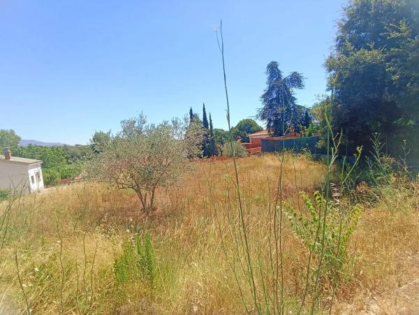 Terreno en calle Taurus