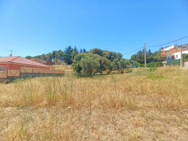 Terreno en calle Taurus