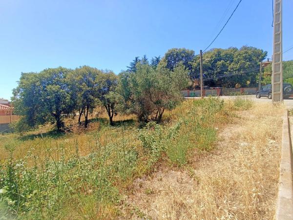 Terreno en calle Hèrcules