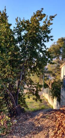 Terreno en calle Atalaia, 6