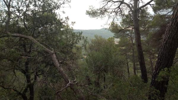 Terreno en camino de Ventanell, 41 Ne