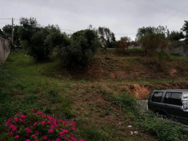 Terreno en Piera