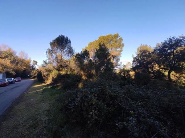 Terreno en calle Cirerer, 28