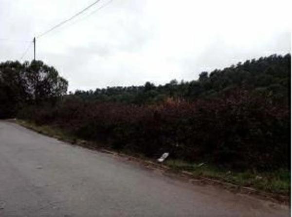 Terreno en calle de Martorell, 28 q