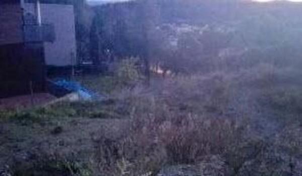 Terreno en calle de les Camèlies, 29