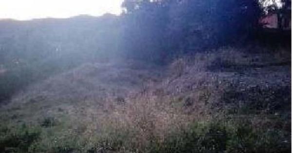 Terreno en calle de les Camèlies, 29