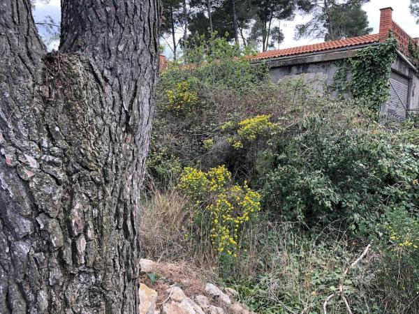 Terreno en calle Bruc