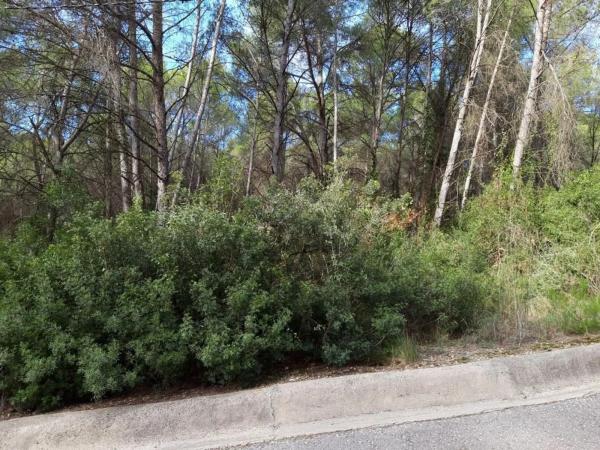 Terreno en calle del Bruch