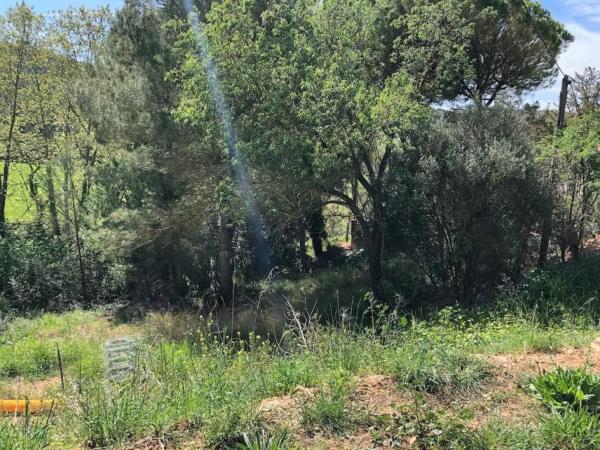 Terreno en camino de Sant Quintí de Mediona