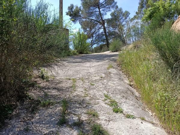 Terreno en avenida Pineda