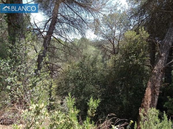 Terreno en Cabrera d'Anoia