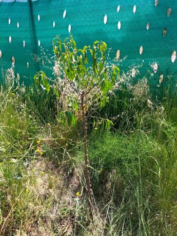 Terreno en Urbanitzacio Can Ros Zona 3, 200 a