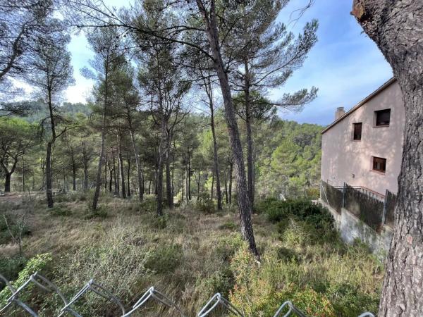 Terreno en calle Roures dels, 10