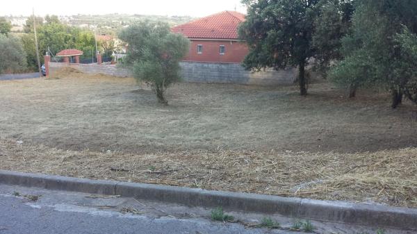 Terreno en calle Taurus, 231