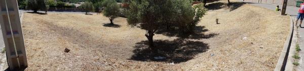 Terreno en calle Taurus, 231